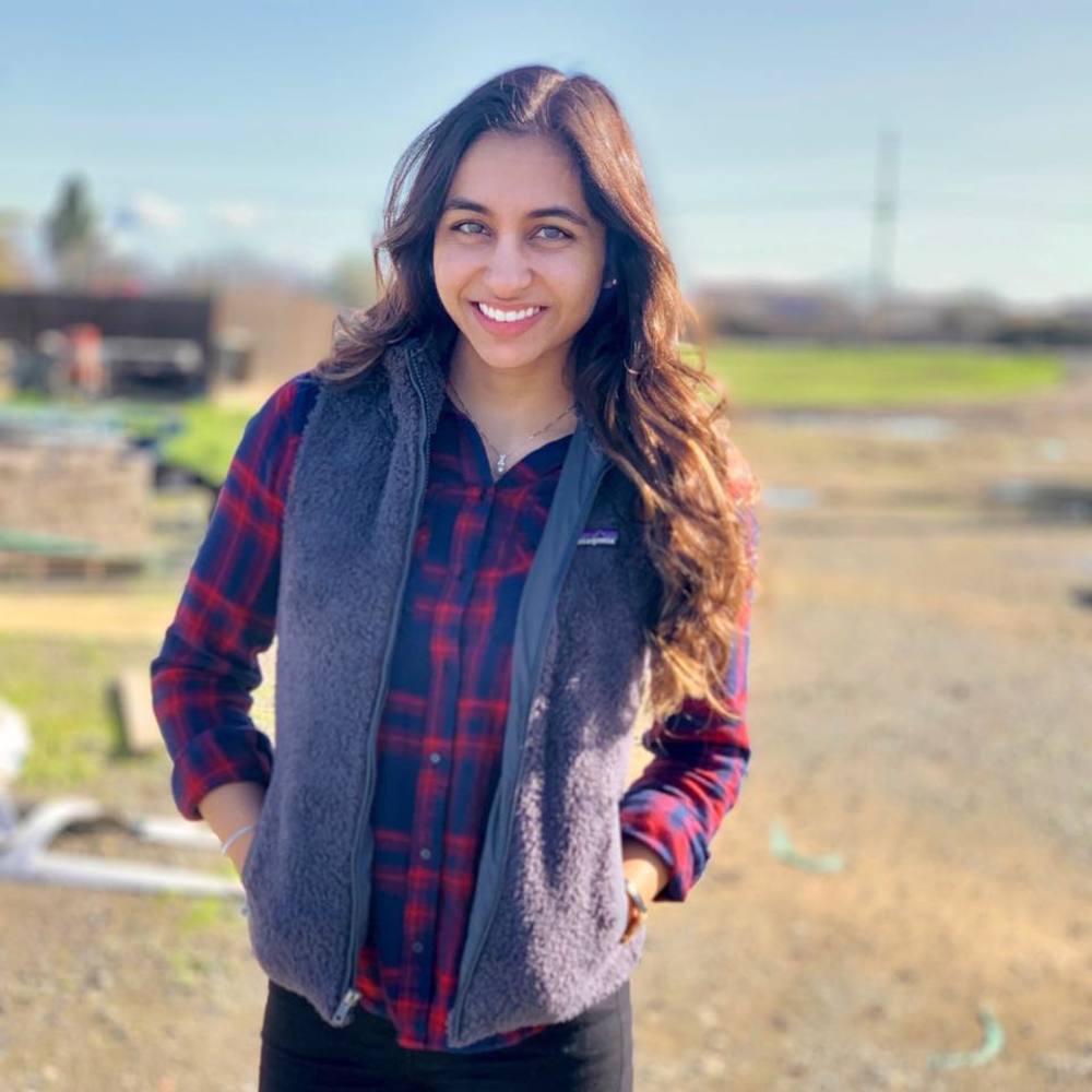 Meet your Posher, Daman